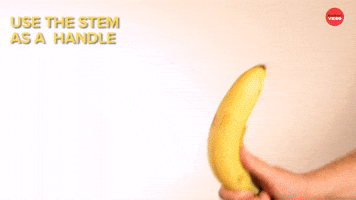 Banana stem as handle