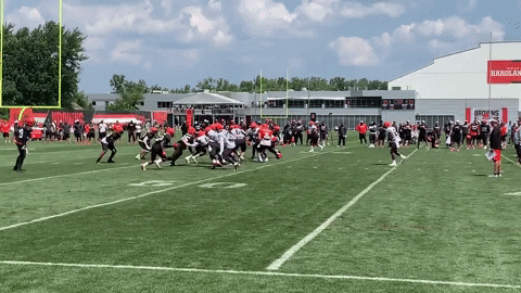 jburns1810 giphyupload GIF