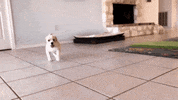 Ards GIF by Hallmark Channel