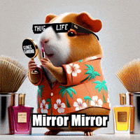 Mirror Mirror Social Media Trends GIF by Guinea Gambino