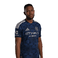 Mls Sticker by New York City FC