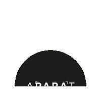 Aphoto Sticker by Adrian Paszul