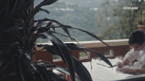 viceland GIF by Hamilton's Pharmacopeia