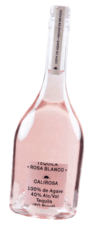 calirosatequila tequila adam levine behati prinsloo hecho en mexico Sticker