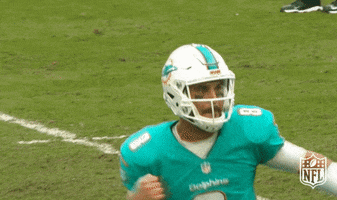 Miami Dolphins Football GIF by NFL