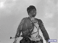 Akira Kurosawa Samurai Movie GIF by Turner Classic Movies