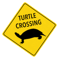 loragdenis turtle turtle crossing loragdenis turtlecrossing Sticker