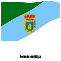 Comunidad De Madrid Bandera GIF by Formación Ninja