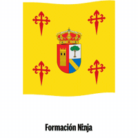 Castilla Y Leon Bandera GIF by Formación Ninja