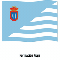 Bandera Sevilla GIF by Formación Ninja
