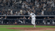 Major League Baseball Sport GIF by MLB