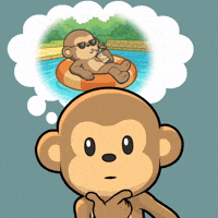 Travel Drinking GIF by Wise Monkey Meme