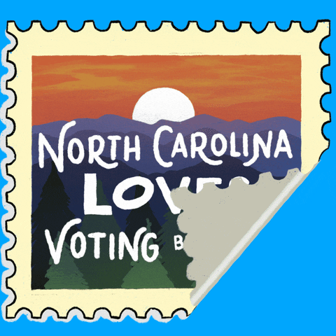 Voting North Carolina GIF by Creative Courage