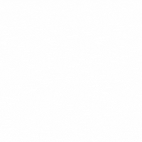 nushucrew female networking female business nushu GIF