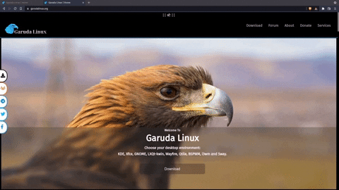 kelsar56 giphyupload GIF