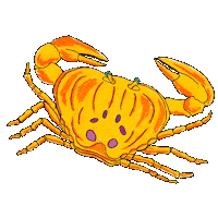 Sea Creature Stars Sticker by James Thacher