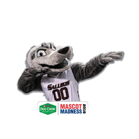 mascots mvc Sticker by Missouri Valley Conference