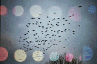 london 35mm GIF by Blanca Viñas