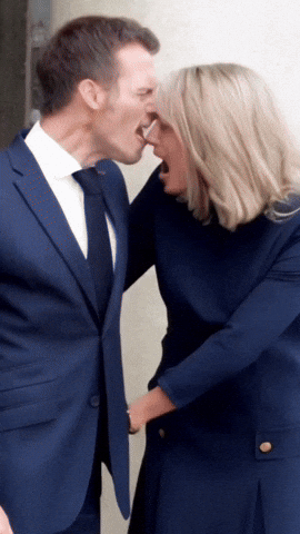 Fight Macron GIF by systaime