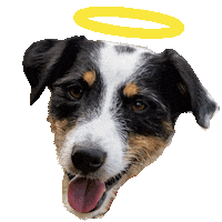 Sticker by DER HUND - das Magazin