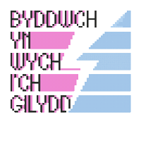 Welsh Beexcellent Sticker by Twin_Made