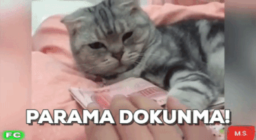 GIF by @Hizliresim