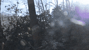 Grading John Deere GIF by JC Property Professionals
