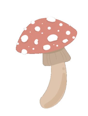 Summer Flower Sticker