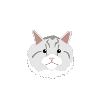Persian Cat Sticker