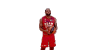 Liga Endesa Spinning Sticker by ACB