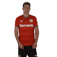 Come On Waiting Sticker by Bayer 04 Leverkusen