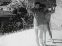 Pet Sounds GIF by The Beach Boys