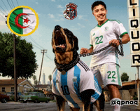 World Cup Argentina GIF