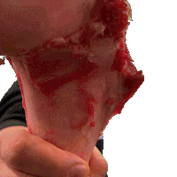 macelleriamaurobbq you bbq meat carne Sticker