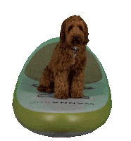 Sup Suppen Sticker by WANNAsup