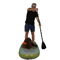 Dog Sup Sticker by WANNAsup