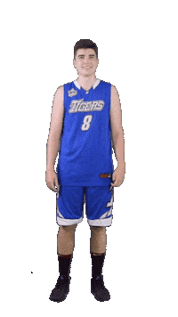 Basketball Tigers Sticker by ACSL - Austrian College Sports League