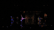 GIF by visitorlando