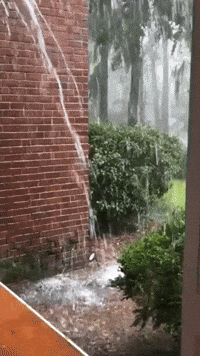 Heavy Rain From Storm System Soaks Charleston County