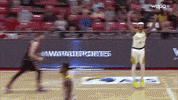 bsnpr GIF by Baloncesto Superior Nacional