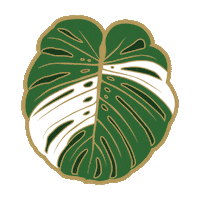 thewateringcan green monstera albo wateringcan Sticker