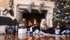 Happy Butler Bulldogs GIF by Butler University