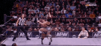 All Elite Wrestling GIF by AEWonTV