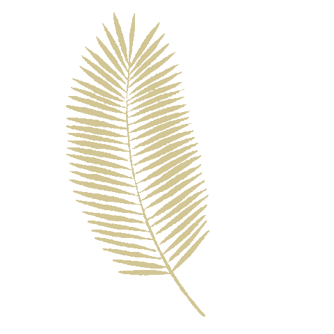 Palm Tree Summer Sticker by Maison Mirabeau