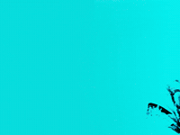 music video videoclips GIF by XITE