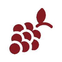 Elaisian wine vino agricultura agriculture Sticker