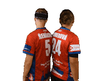 Floorball Sticker by Český florbal