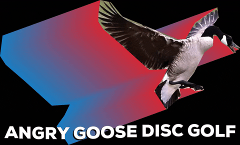 angrydiscs giphygifmaker disc golf discgolf angry goose GIF