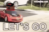 Drifting Lets Go GIF by Bear Market Memes