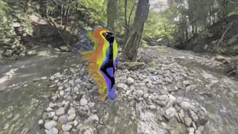 Wanderkid GIF by JW Francis